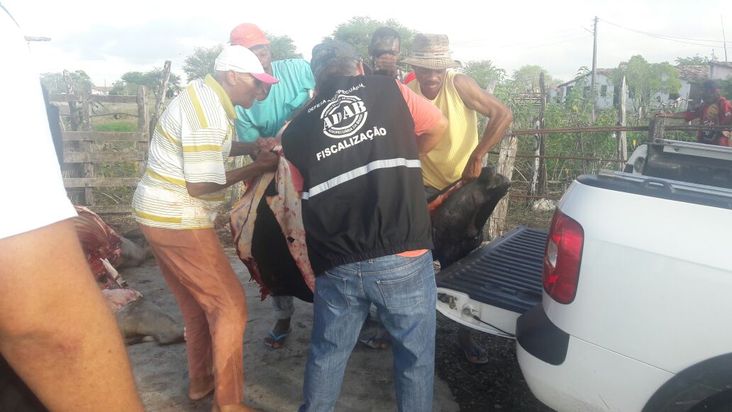 Coordenadoria Regional da ADAB em Feira de Santana combate abate clandestino de bovinos
