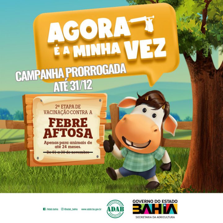 Agora é Minha vez Concursos